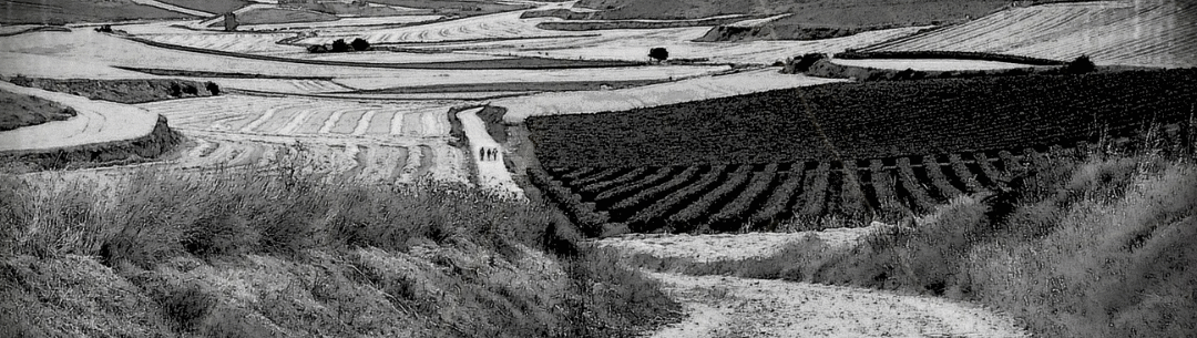 On The Camino Eight Years Later. Sort Of.